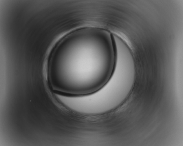 X0000093091128200710031807