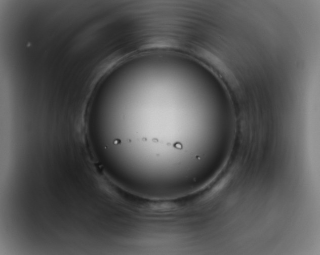 X0000093091129200710031807