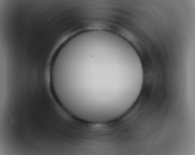 X0000093091130200710031807