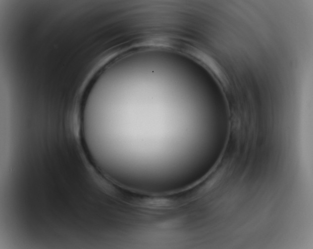 X0000093091131200710031807