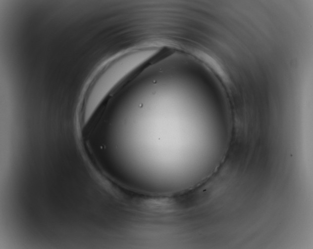 X0000093091133200710031807