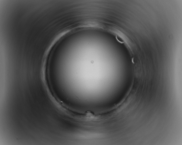 X0000093091139200710031807