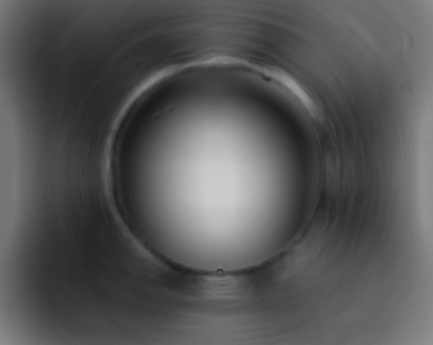 X0000093091142200710031807