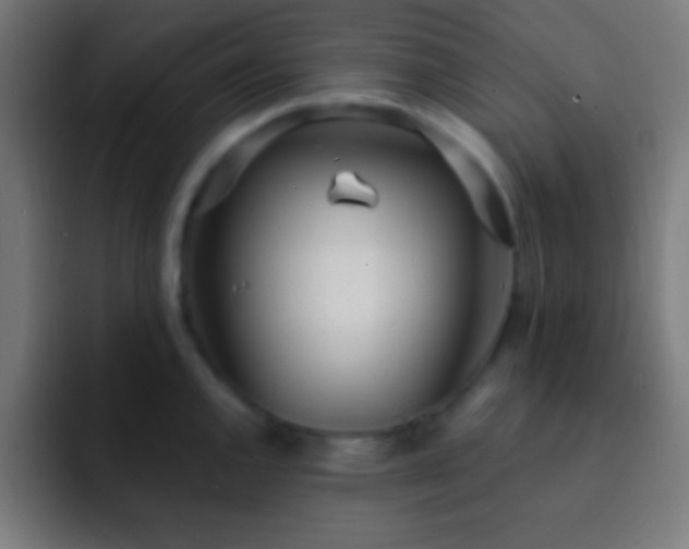 X0000093091144200710031807