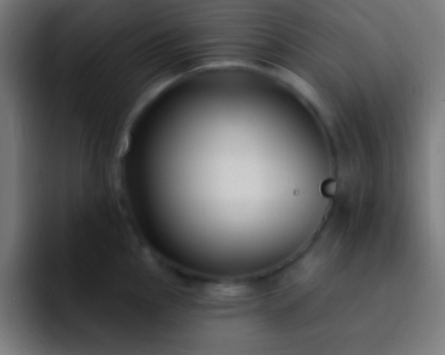 X0000093091145200710031807