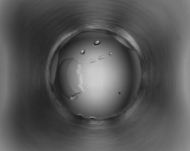 X0000093091146200710031807