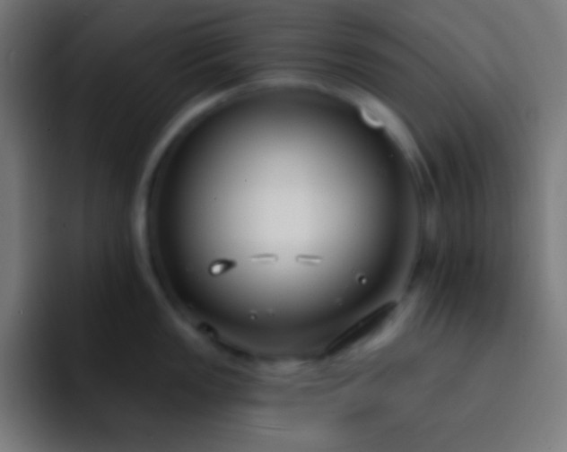 X0000093091149200710031807