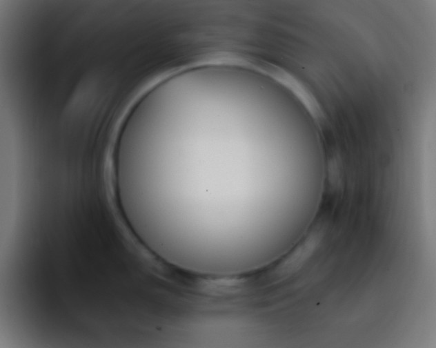 X0000093091150200710031807