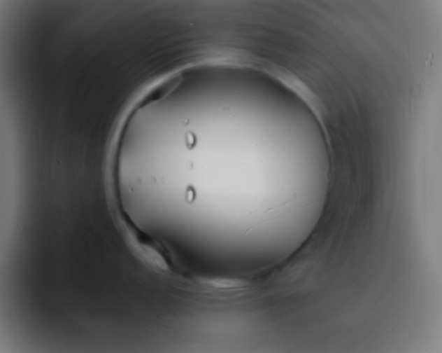 X0000093091152200710031807