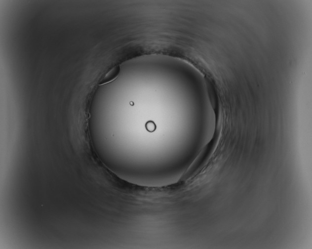 X0000093091153200710031807