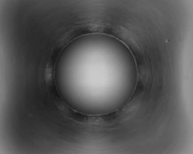 X0000093091154200710031807