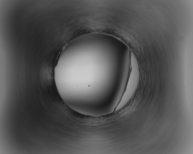 X0000093091156200710031807