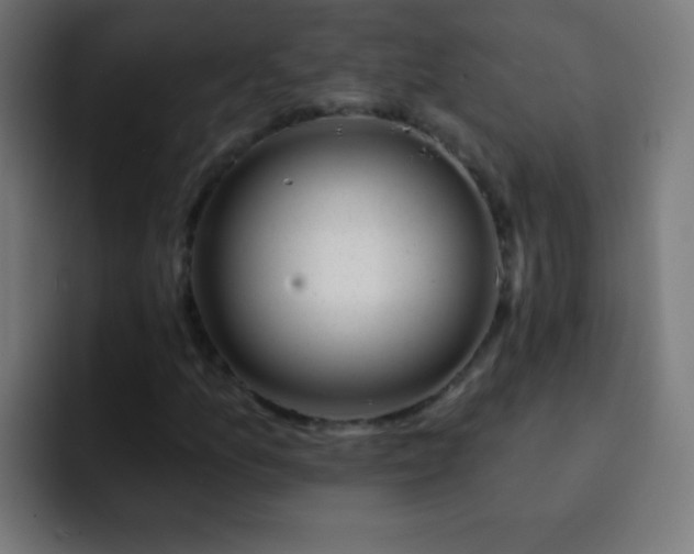 X0000093091157200710031807