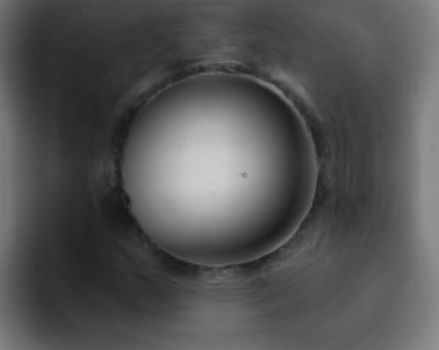 X0000093091159200710031807