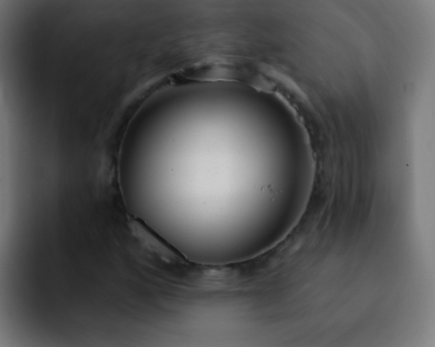 X0000093091160200710031807