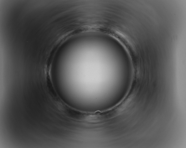 X0000093091161200710031807