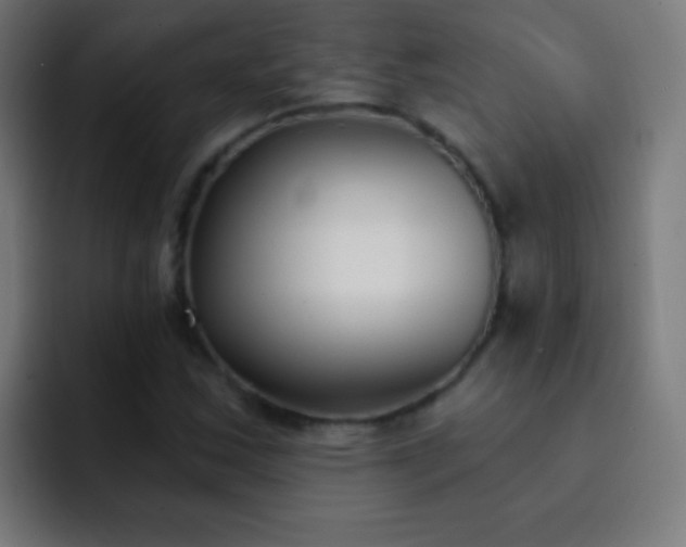 X0000093091163200710031807