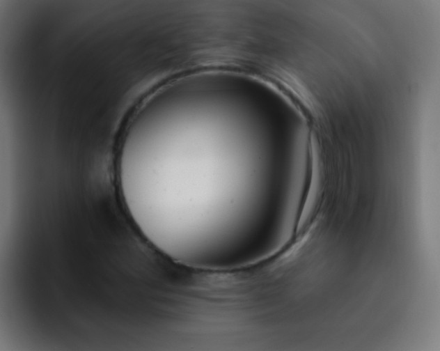 X0000093091164200710031807