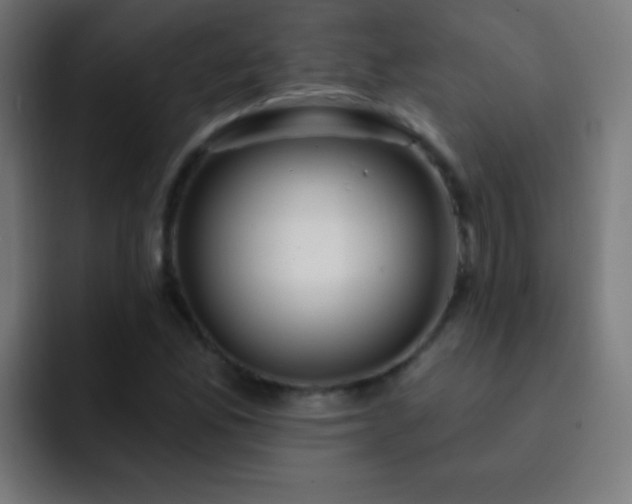 X0000093091165200710031807