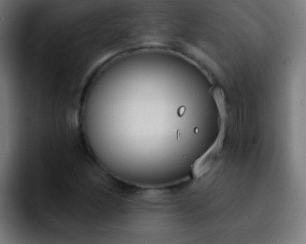 X0000093091166200710031807