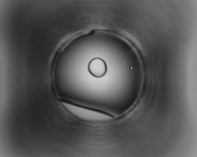 X0000093091168200710031806