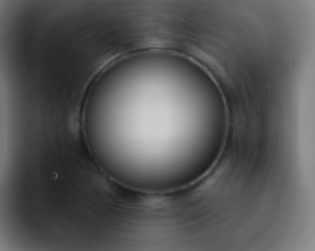 X0000093091170200710031806