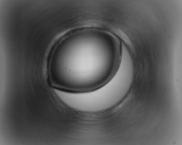 X0000093091172200710031806