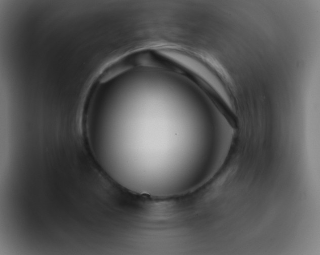 X0000093091173200710031806