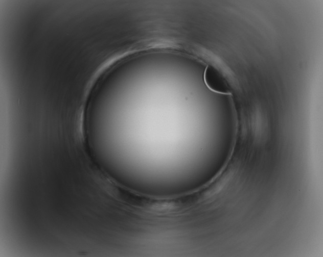 X0000093091174200710031806