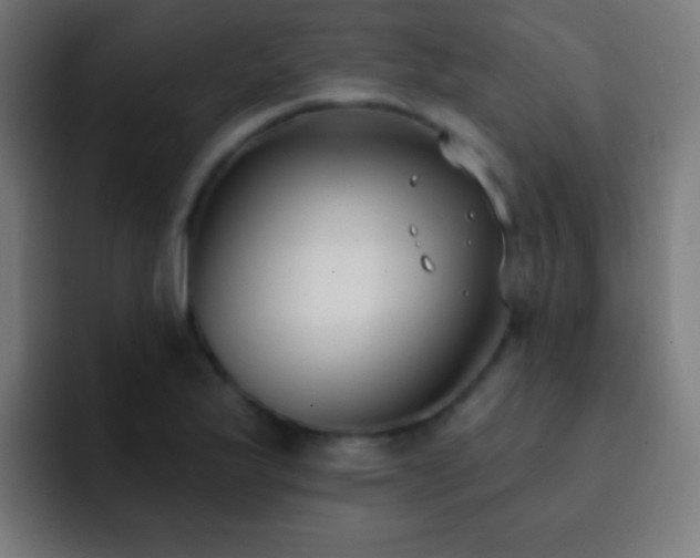 X0000093091175200710031806