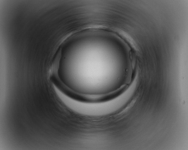 X0000093091177200710031806