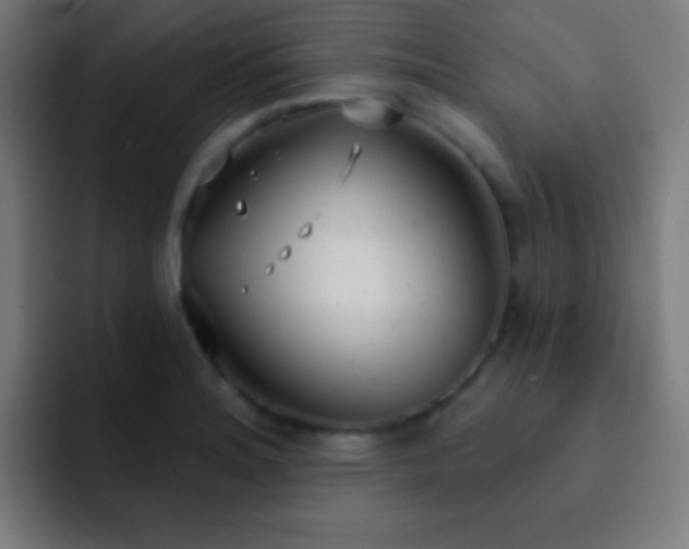 X0000093091180200710031806