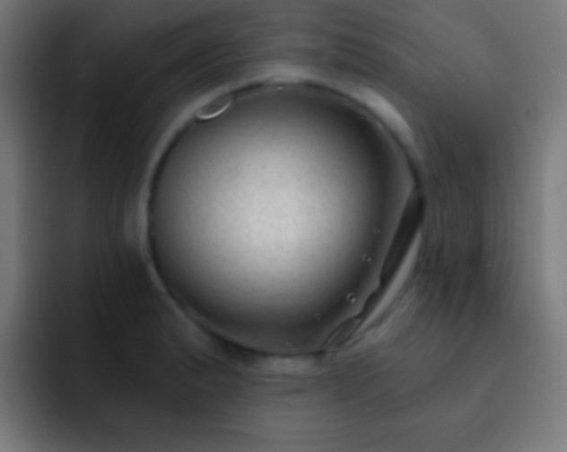 X0000093091183200710031806