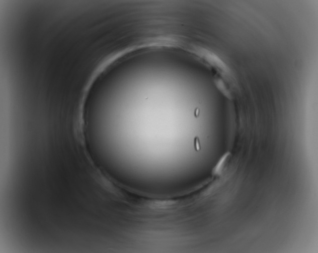 X0000093091184200710031806