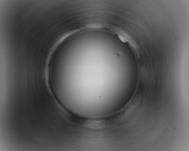 X0000093091187200710031806