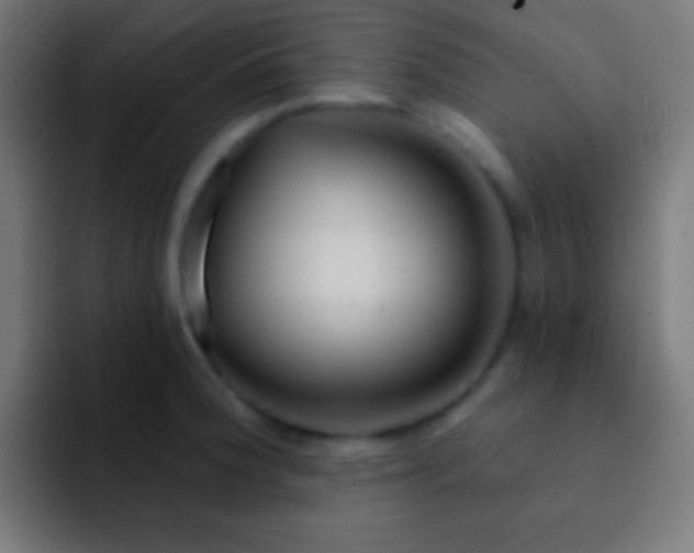 X0000093091188200710031806