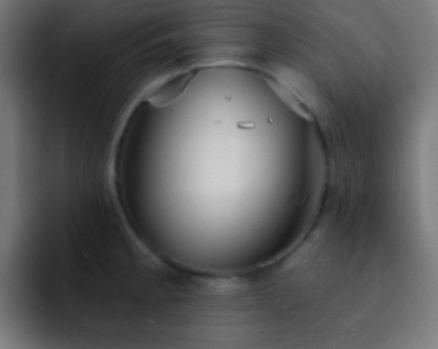 X0000093091189200710031806