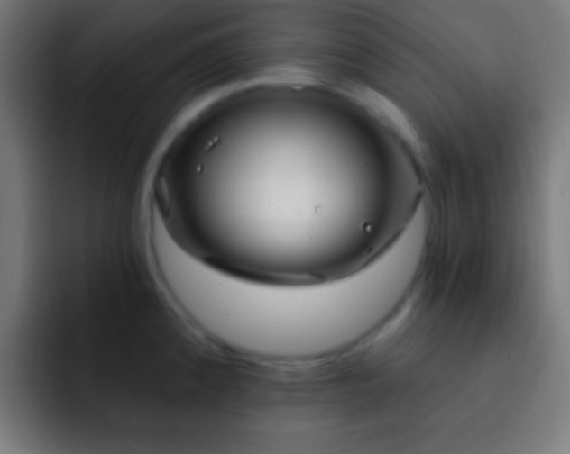 X0000093091192200710031806