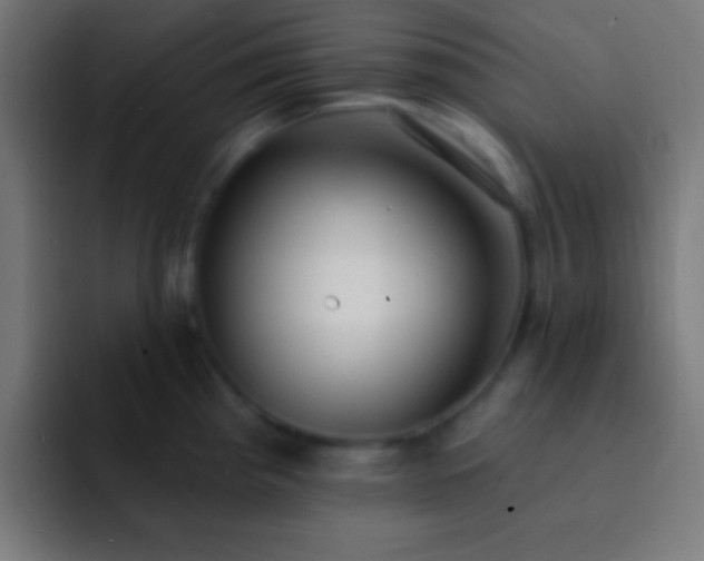 X0000093091193200710031806