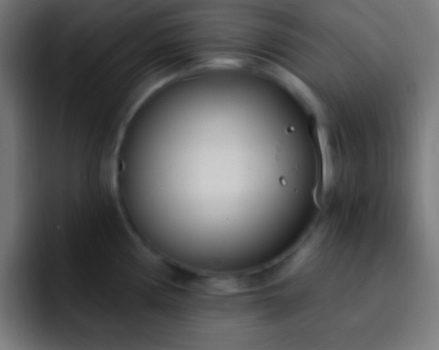 X0000093091194200710031806