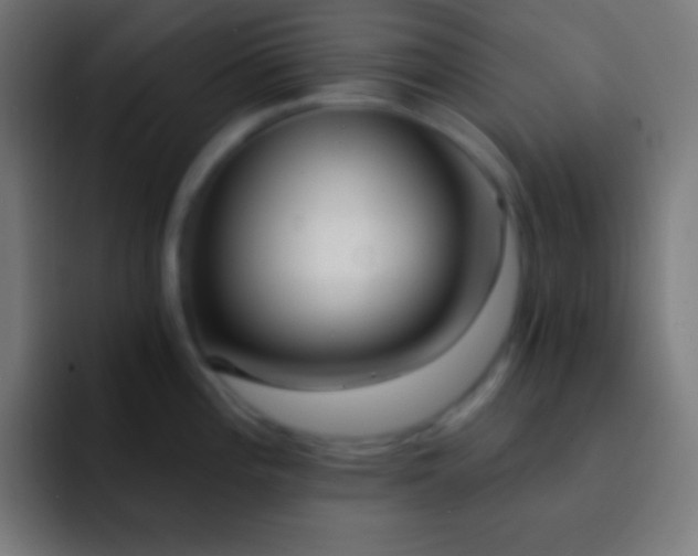 X0000093091196200710031806