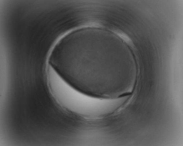 X0000093091200200710031806