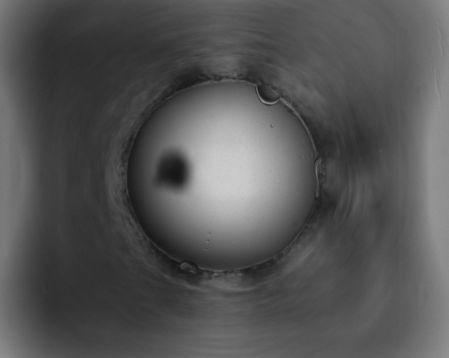 X0000093091201200710031806