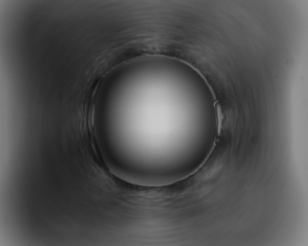 X0000093091202200710031806