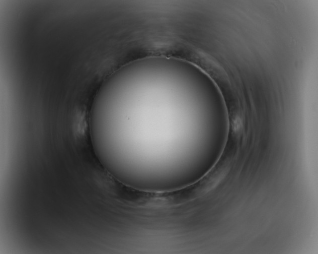 X0000093091204200710031806