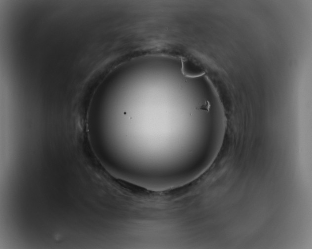 X0000093091206200710031806