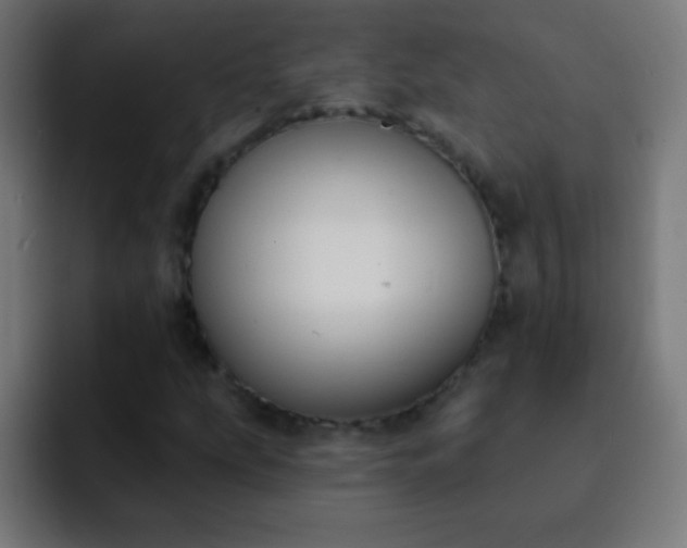 X0000093091207200710031806