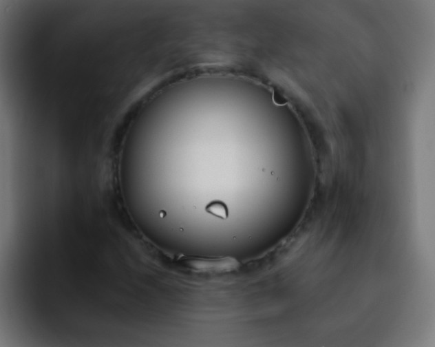 X0000093091208200710031806