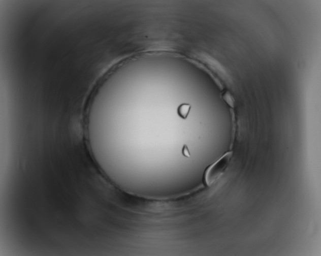 X0000093091212200710031806