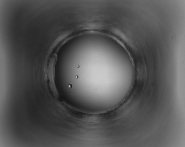 X0000093091213200710031806